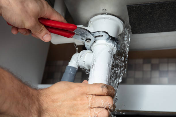 Best Sewage cleanup and water damage restoration  in Royal Palm Estates, FL