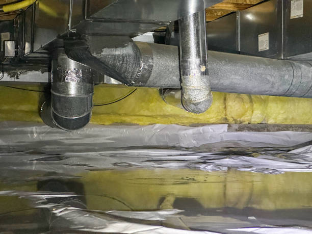 Best Water damage restoration near me  in Royal Palm Estates, FL