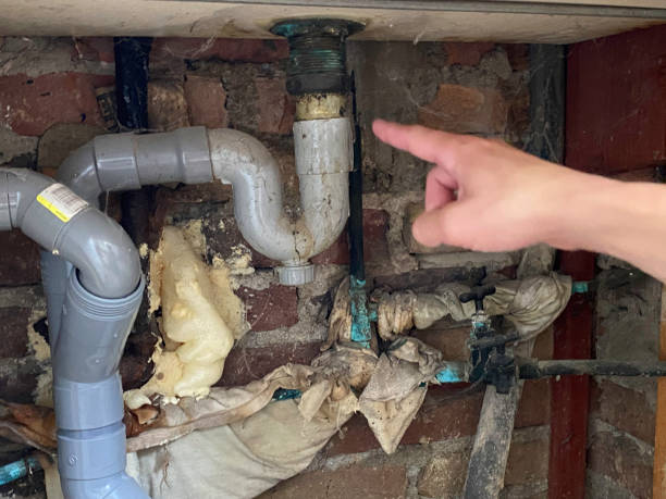 Best Basement water damage restoration  in Royal Palm Estates, FL