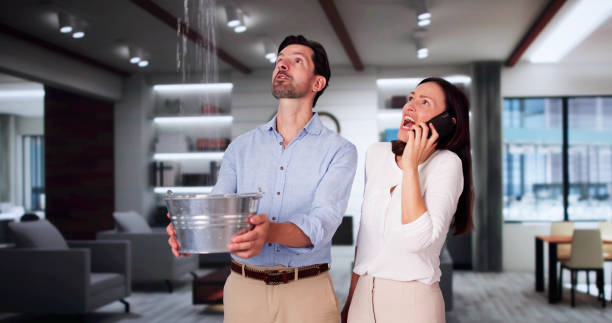 Best Water damage contractors near me  in Royal Palm Estates, FL